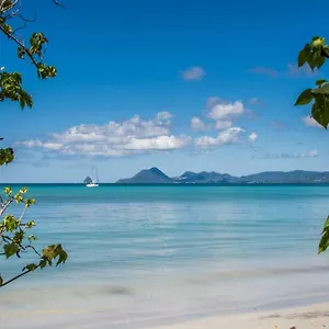 Studio à Louer Proche Des Plages , Sainte-Anne Martinique
